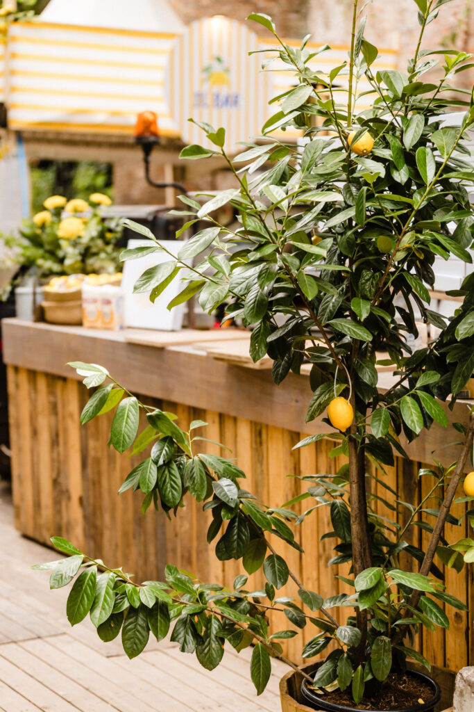 Italiaanse Foodcourt